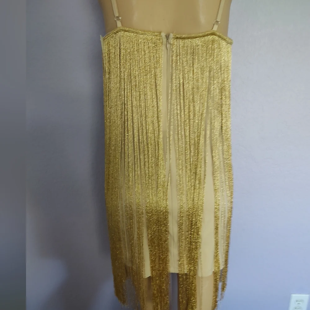 Forever 21 Gold Fringe Dress - Picture 5 of 8